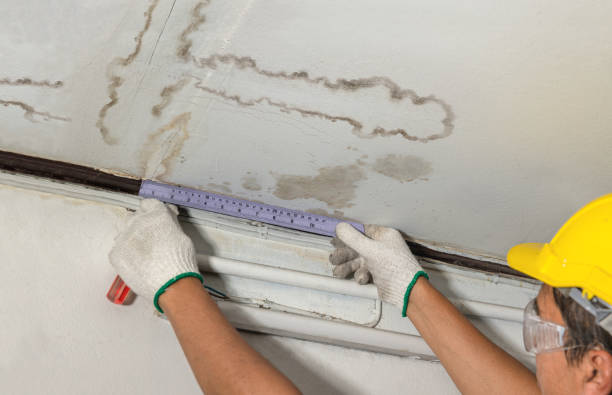 Reliable Water Damage contractor in Huffman, TX by Water Damage Irwin